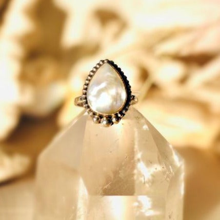 Luz shell ring